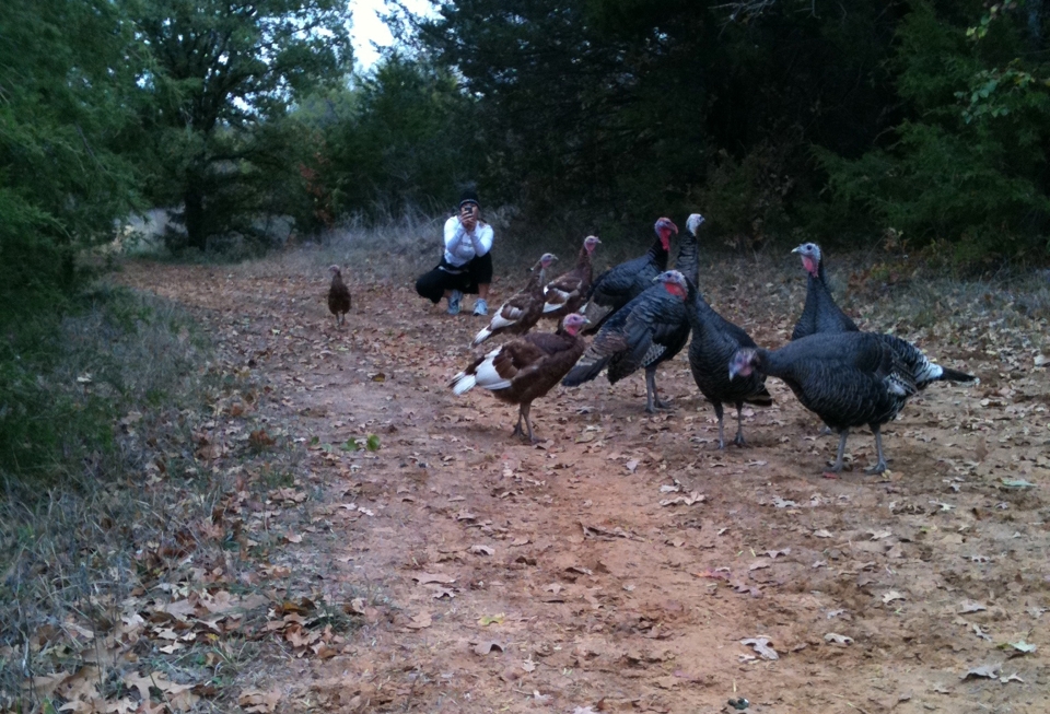 Real Turkeys during a run
