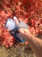 Standard way to hold the bottle