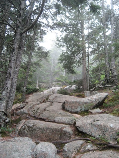 The trail up Cadillac Mountain